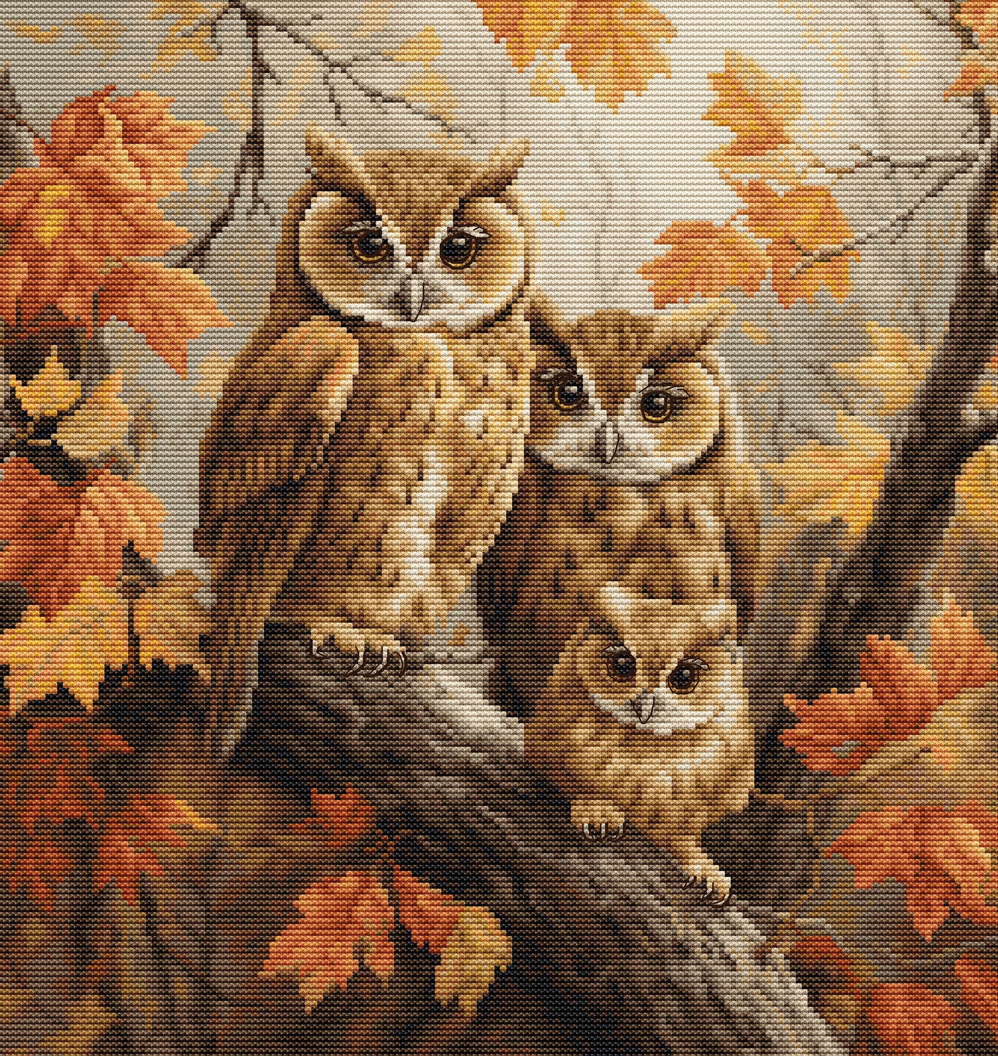 Pattern The Owls Family BU5045