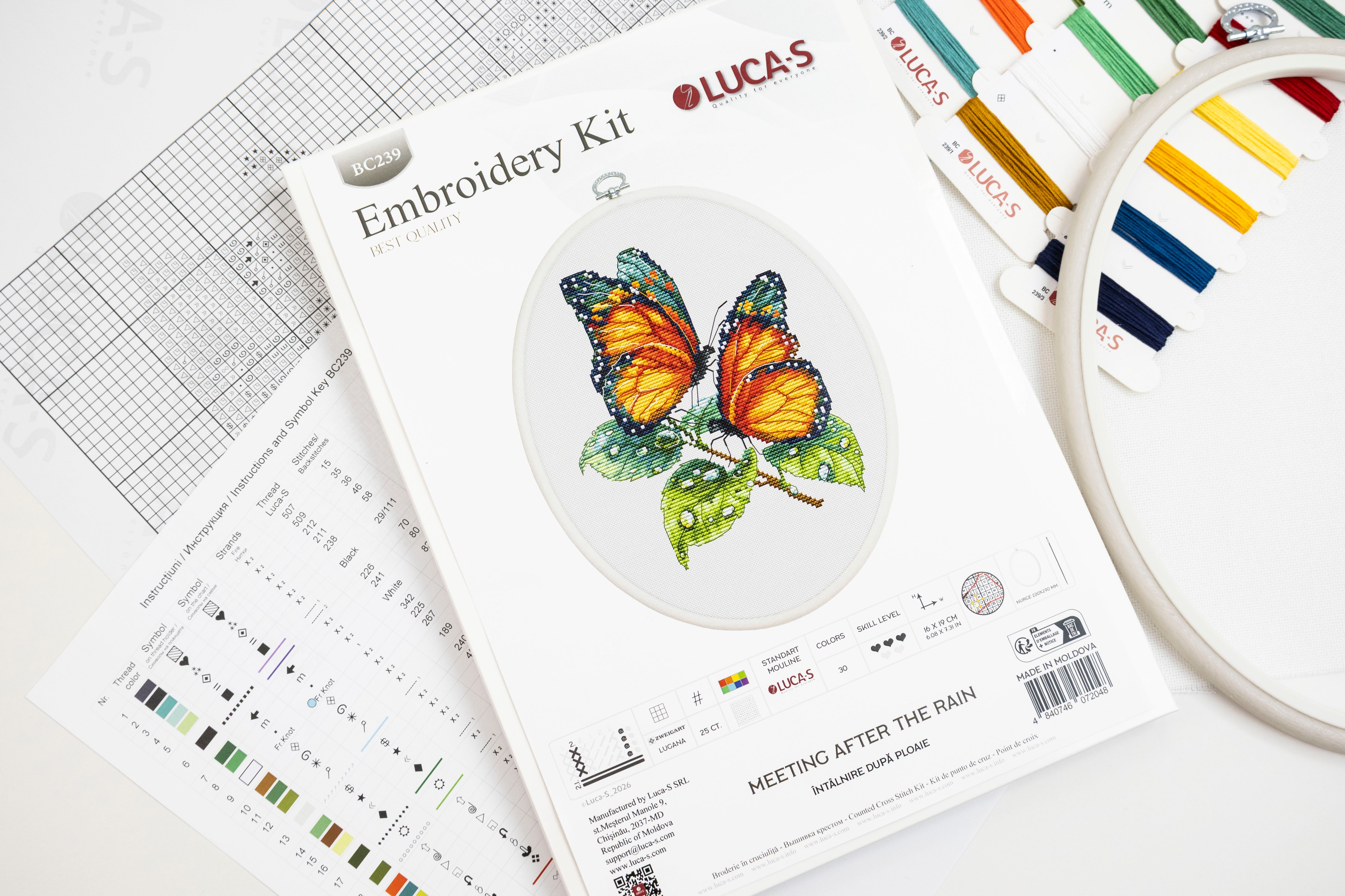 hayun出品　Luca stitch tops Cross Stitch Kit with Hoop Included Luca-S - Meeting After the Rain, B
