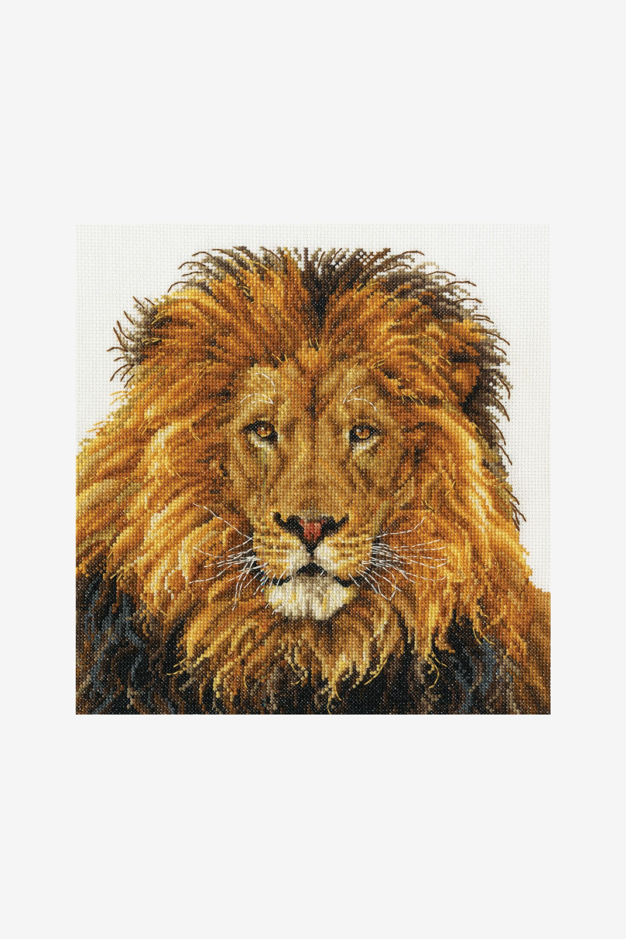 DMC Cross Stitch Kit - The Lion‚Äôs Pride, BK1668 Cross Stitch Kits - HobbyJobby