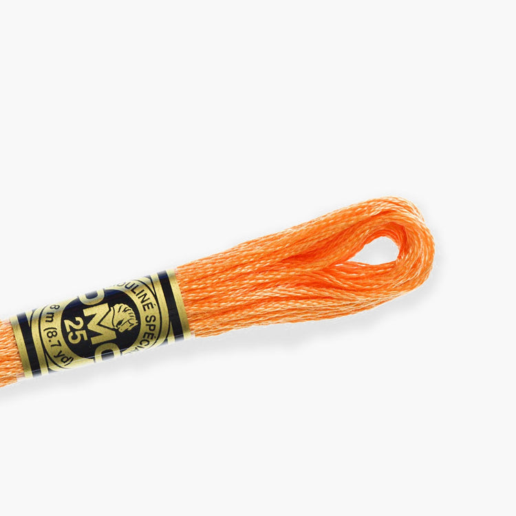 DMC Orange Range - DMC Stranded Cotton - HobbyJobby