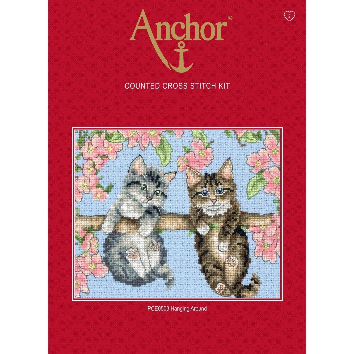 Anchor Essentials Cross Stitch Kit - PCE0503, Hanging Around - Luca-S Cross Stitch Kits