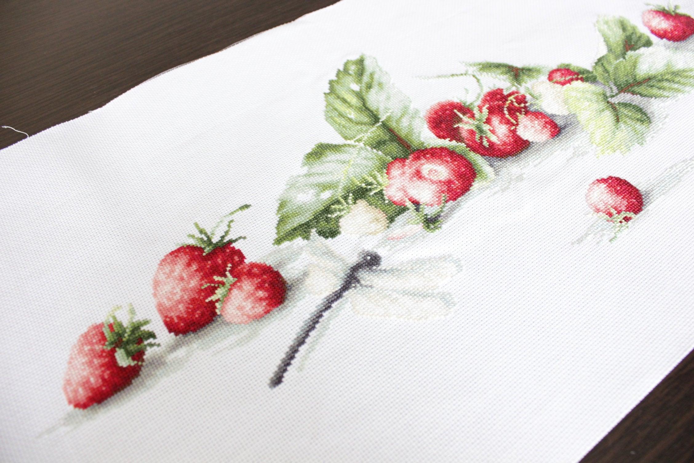 Cross Stitch Kit Luca-S - Etude with Strawberries - HobbyJobby
