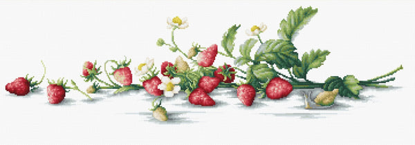 Luca-S Kreuzstichset 'Etüde Mit Erdbeeren' – Fertiggröße 50x14,5 Cm | Mit Stoff, Garn & Anleitung