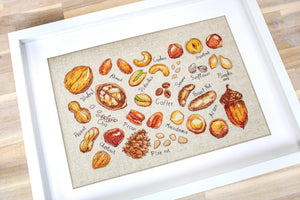 Cross Stitch Kit Luca-S - Nuts and seeds, B1165 - Luca-S