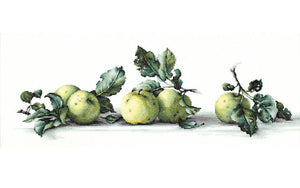 Cross Stitch Kit Luca-S - Still life of apples, B2259 - Luca-S