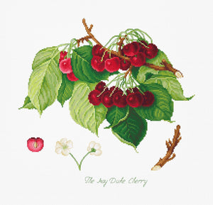 Cross Stitch Kit Luca-S - The May Duke Cherry, BA22460 - Luca-S Cross Stitch Kits