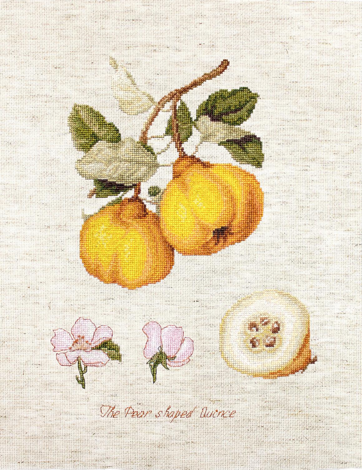 Cross Stitch Kit Luca-S - The Pear shaped Quince - Luca-S Cross Stitch Kits