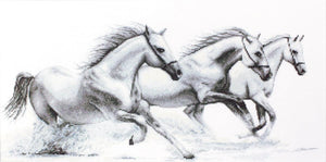 Cross Stitch Kit Luca-S - White Horses, B495 - Luca-S