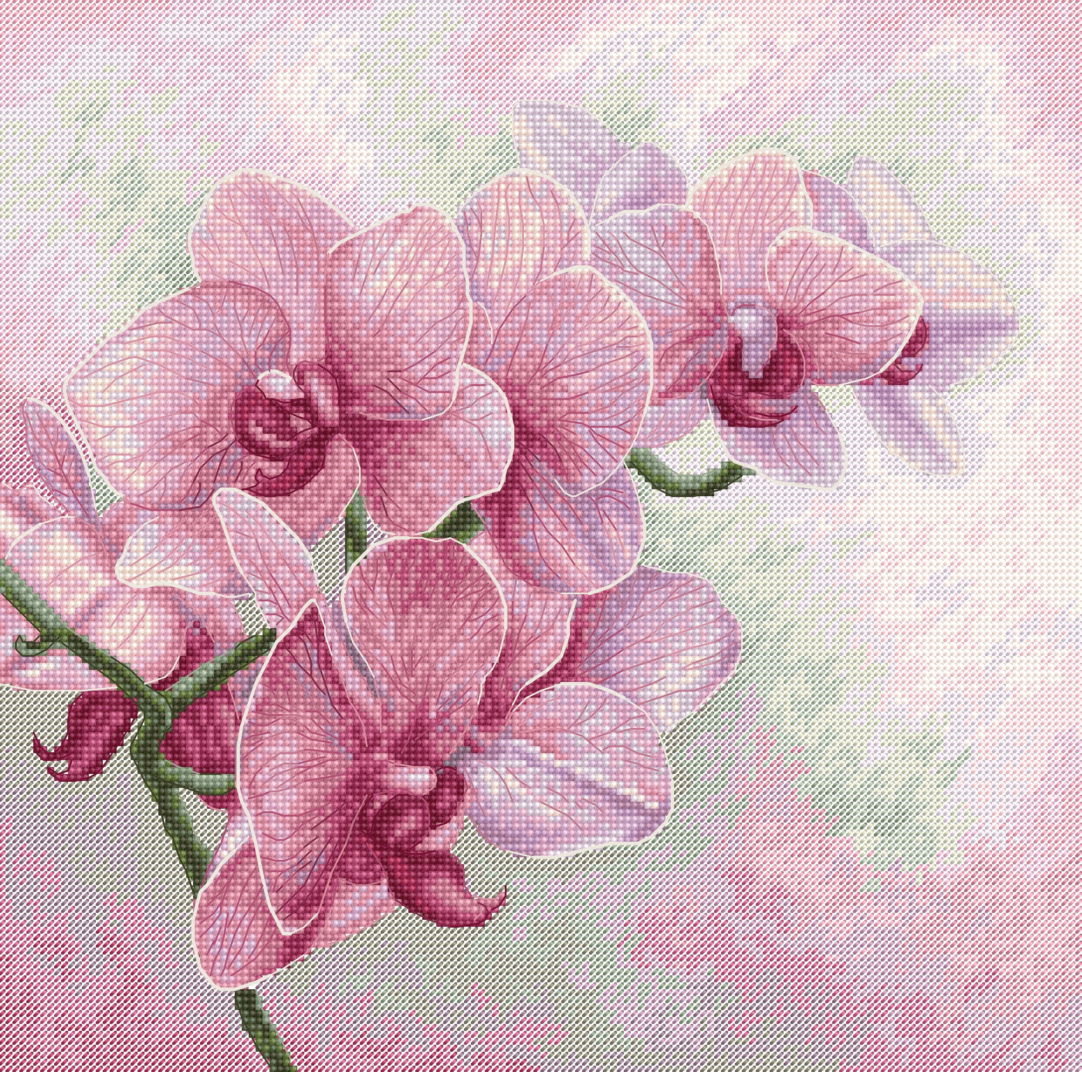 Cross Stitch Pattern Luca-S - Graceful Orchids, P7009 - Luca-S 