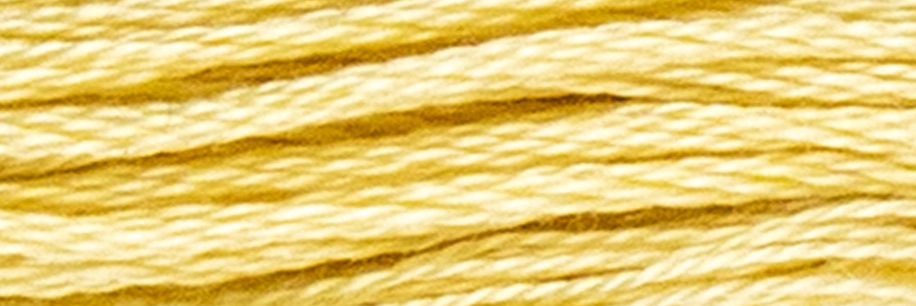 Stranded Cotton Luca-S - 330 / DMC 677 / Anchor 300 - Luca-S Stranded Cotton
